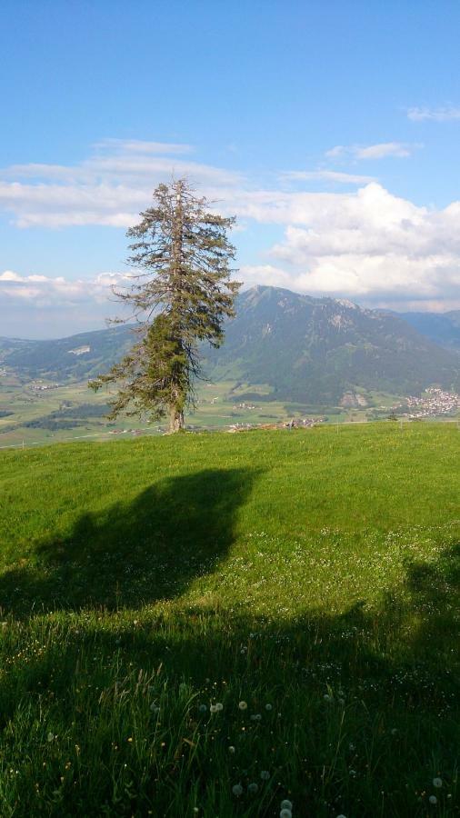 Immenstadt im Allgäu Ferienwohnung Schoenau מראה חיצוני תמונה